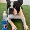 Spray Antipulgas Pet Clean 125mg