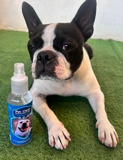 Spray Antipulgas Pet Clean 125mg