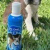 Shampoo Antipulgas Pet Clean Aroma a Chicle 250mg
