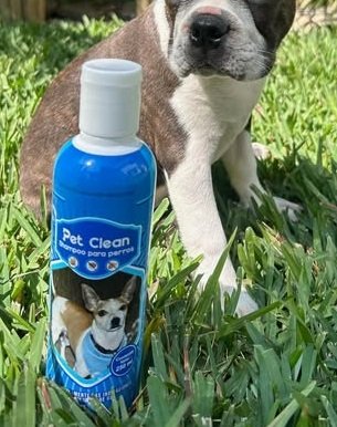 Shampoo Antipulgas Pet Clean Aroma a Chicle 250mg