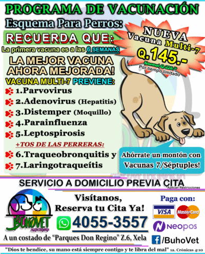 Vacuna Multi-7