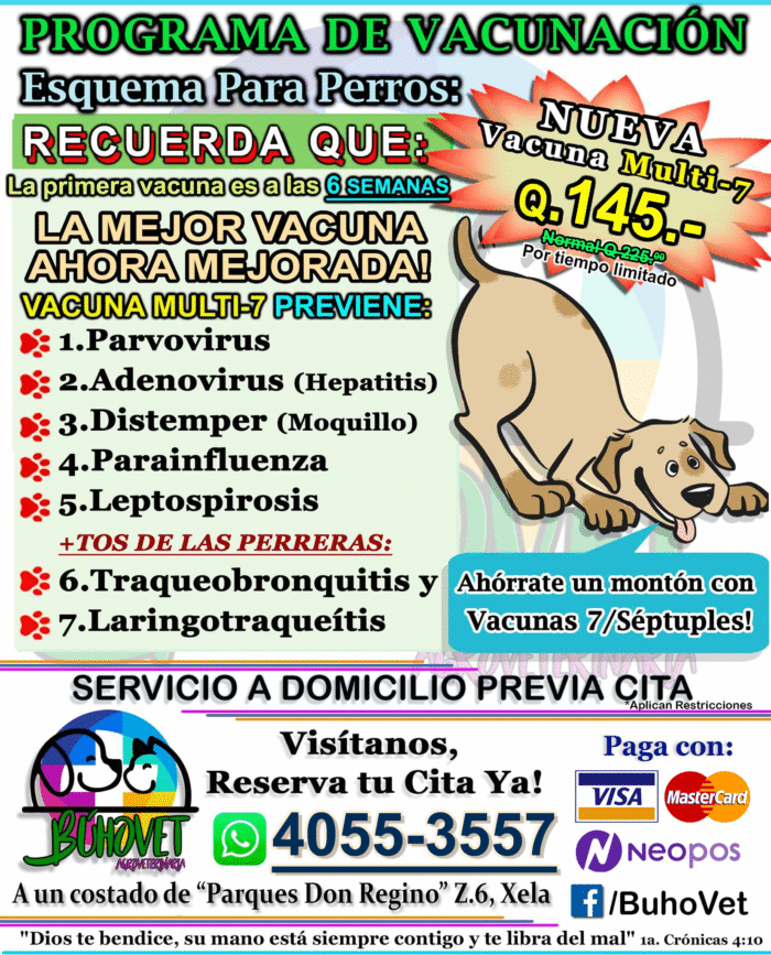 Vacuna Multi-7 - Producto Premium