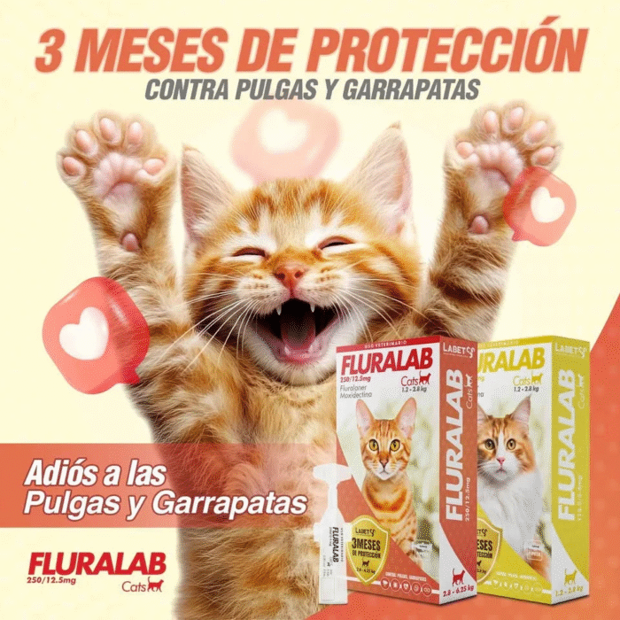 FluraLab GATOS Pequeños Con Moxidectina – 3 meses de protección
