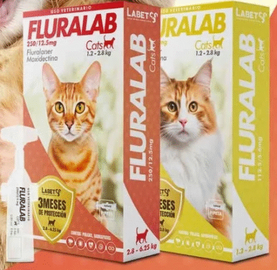 FluraLab GATOS Pequeños Con Moxidectina – 3 meses de protección