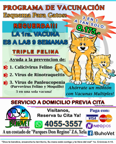 Vacuna Triple Felina
