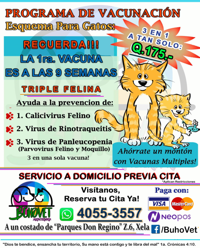 Vacuna Triple Felina
