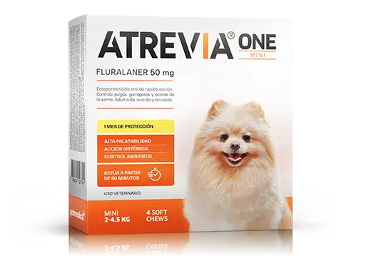 Atrevia One Anti-Pulgas de 1 hasta 2 Meses de Protección - Razas MINI