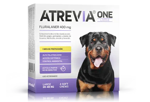 Atrevia One Anti-Pulgas de 1 hasta 2 Meses de Protección - Razas Grandes