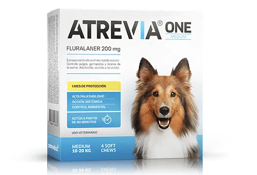 Atrevia One Anti-Pulgas de 1 hasta 2 Meses de Protección - Razas Medianas