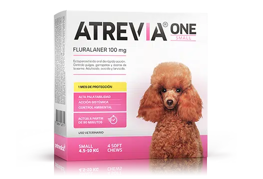 Atrevia One Anti-Pulgas de 1 hasta 2 Meses de Protección - Razas Pequeñas
