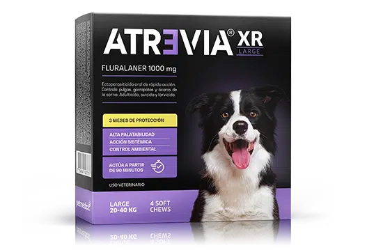 Atrevia XR Anti-Pulgas de 3 hasta 6 Meses de Protección - Razas Grandes