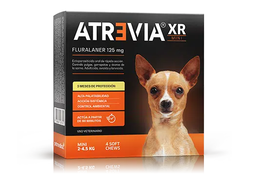 Atrevia XR Anti-Pulgas de 3 hasta 6 Meses de Protección - Razas MINIS