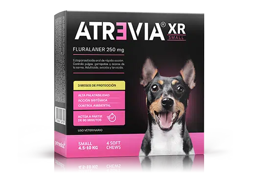 Atrevia XR Anti-Pulgas de 3 hasta 6 Meses de Protección - Razas Pequeñas