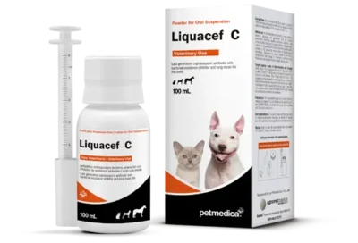 Antibiótico Liquacef-C – FRASCO 100 ML