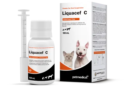 Antibiótico Liquacef-C – FRASCO 100 ML